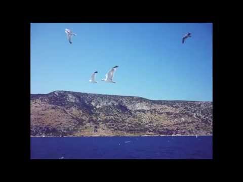 Tedi Spalato - Testament