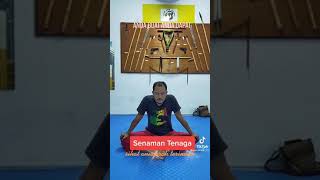 Download lagu Senaman Harimau untuk perbaiki prestasi tenaga Batin mp3