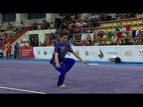 [14th WWC] Men's Changquan - Tsz Hong Lau - 9.52 [HKG]