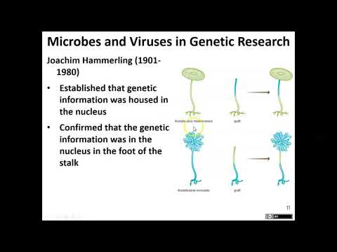 Chapter 10 part 1 microbiology OER