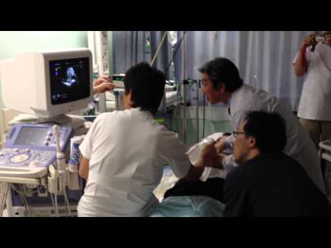 【昭和大学医療チーム】世界初！超音波で胎児の病気治療に成功