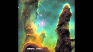 Shalabi Effect - 2a - Vicious Triangle