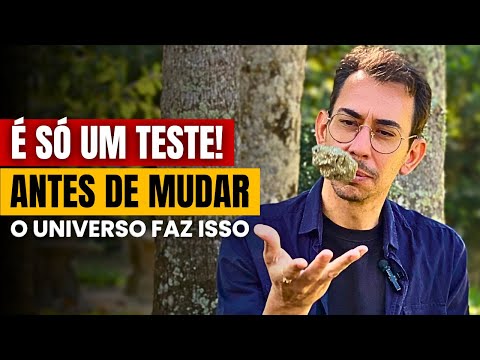 Veja Como a Vida Testa Você Antes de Mudar Sua Realidade (A Lei da Atração da Nova Consciência)