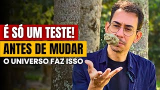 Veja Como a Vida Testa Você Antes de Mudar Sua Realidade (A Lei da Atração da Nova Consciência)