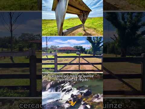 Oportunidade no Mato Grosso: 2 Fazendas de Alta Performance à Venda em Nova Brasilândia