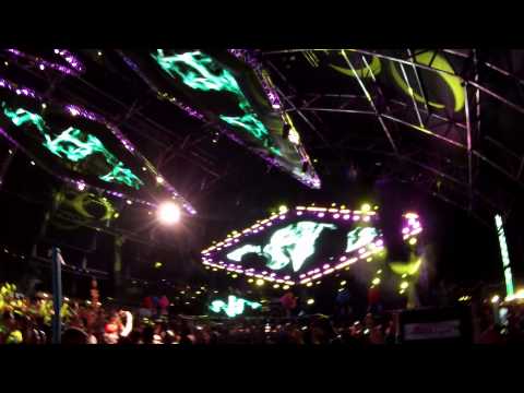 Morgan Page Live at Electric Daisy Carnival 2013 Las Vegas EDC