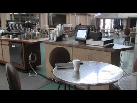 Invisa shades- heather ashley iagmin