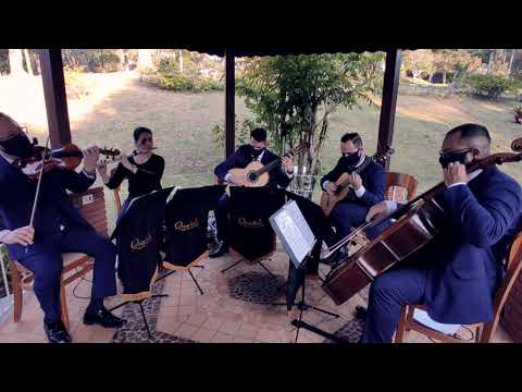 Entrada das Daminhas com a música Aquarela!