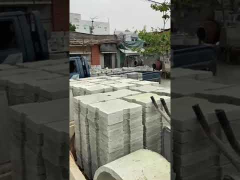 Video 6