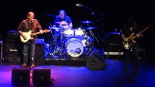 15-11-28 Walter Trout live in Royal Carré Amsterdam -Please take me home