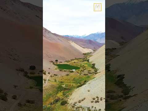 De las venas de la cordillera al río Copiapó, Cap. 4: Río Vizcachas  Pulido #chile #atacama #copiapo