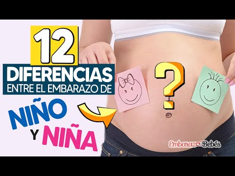 12 Differences Between a Boy and a Girl Pregnancy 🤫🔍 Find Out TODAY!