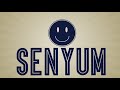 Aziz Harun - Senyum (Official Lyric Video)