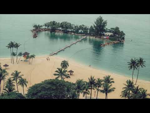 Ivory Fields - Shea Ng