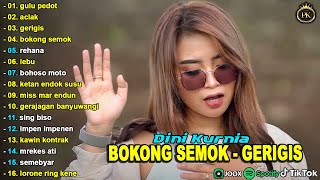 Download lagu DINI KURNIA - GERIGIS, GULU PEDOT, ACLAK - FULL ALBUM KOPLO OSING BANYUWANGI VIRAL 2025 mp3