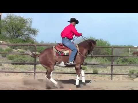 Matt Mills Reining PERFECT A ROLLBACK IN LESS THAN 90 SECONDS