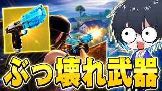 成長させるとバグる武器がヤバ過ぎる...【フォートナイト/Fortnite】