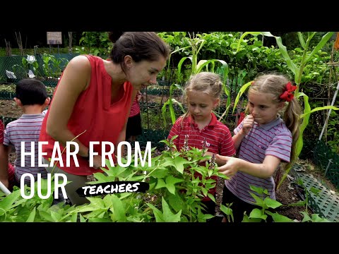 Hear From Our Teachers
