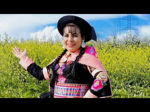 PRIMICIA 2026 / ENAMORADA ESTOY / CLARA LUZ / HUAYLAS ANTIGUO/ SOLO ÉXITOS 