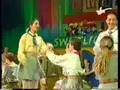 Stokrotka Polna 