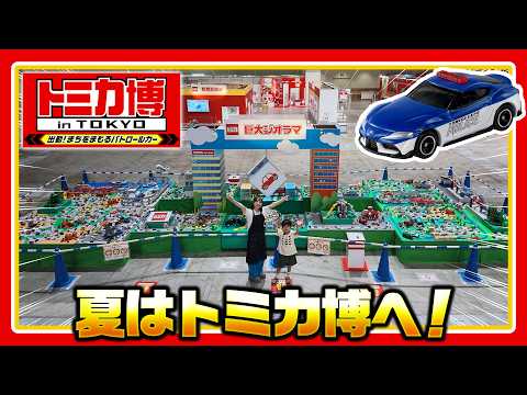 【トミカ博 2026最速レポート！】トミカ博 in TOKYOの見どころをご紹介！タカラトミー公式｜夏休み｜おでかけ｜イベントレポート｜tomica