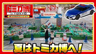 【トミカ博 2026最速レポート！】トミカ博 in TOKYOの見どころをご紹介！タカラトミー公式｜夏休み｜おでかけ｜イベントレポート｜tomica