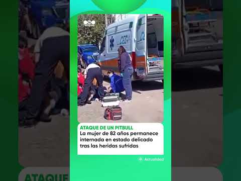 🚨 Un pitbull atacó a una mujer de 82 años y la dejó en grave estado