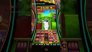 Casino Slot Machine Secrets: Watch the Numbers & WIN BIG! #shorts