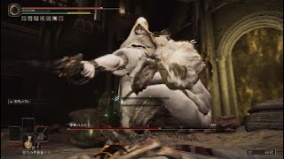 神肌のふたりと出会った。[ELDEN RING]