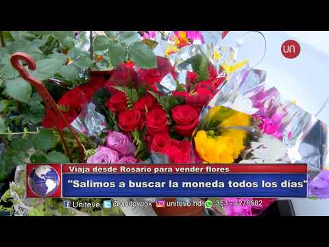 Lleva desde Rosario para vender flores