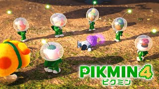 救助隊集結！(なお、1名　生死不明)【ピクミン4】#9