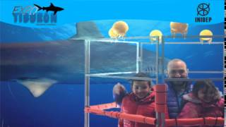 DIA 2 Expo Tiburon319