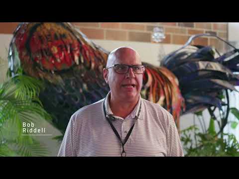 Think Big Volunteer - Bob Riddell - YouTube