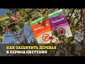 Фунгицид Самшит® (Ukravit) - системная защита яблони, персика, винограда и картофеля от комплекса болезней