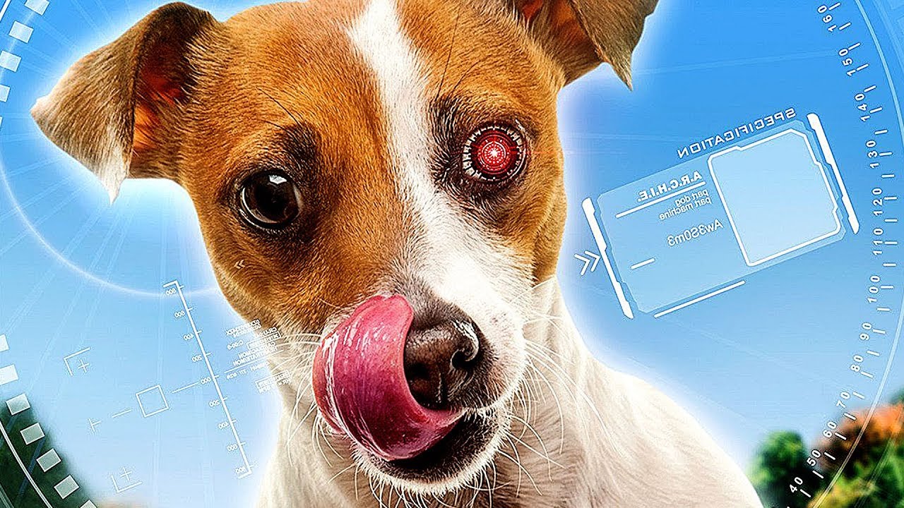 ROBODOG 2 - Film Complet en Français (Comédie)