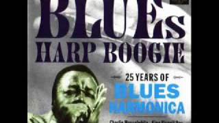 Junior Wells and Buddy Guy - Hoodoo Man Blues