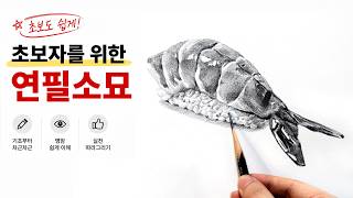 초보도 쉽게 따라 그리는 새우초밥 연필소묘 / 기초소묘, 연필소묘, Basic Pencil Drawing