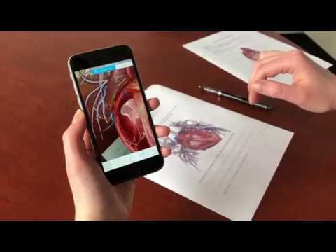 Teach Anatomy in Augmented Reality | Human Anatomy Atlas 2018