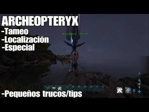 ARK - TODO LO QUE DEBES SABER SOBRE EL ARCHAEOPTERYX (EN PC, PS4 Y XBOX)