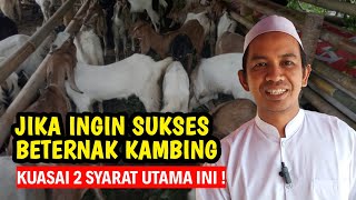Download lagu JIKA INGIN SUKSES TERNAK KAMBING KUASAI DUA SYARAT INI | @AGROTV9 mp3