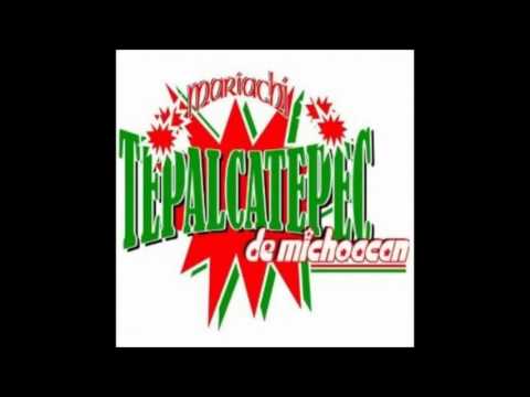 El Brinco- Mariachi Tepalcatepec