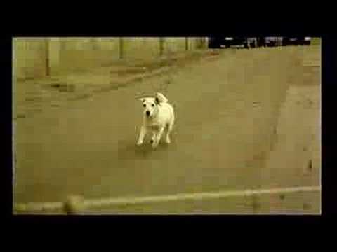 Jiggy Djé - Check 1-2