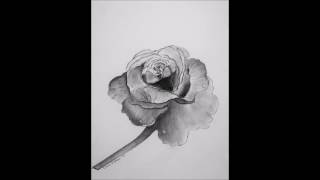 Diana Robleś Inspiration - Pencil Flower