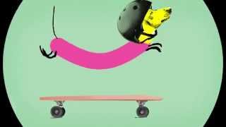 Cover art for Wiener Dog Riding A Skateboard