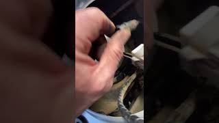 Subaru Forester 2008-2013 fuel pump explanation removal replacement