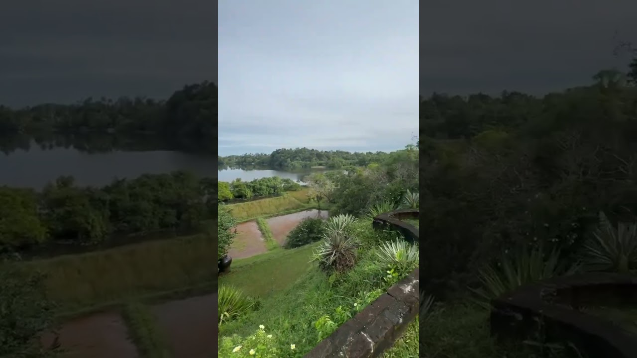 YouTube Short thumbnail