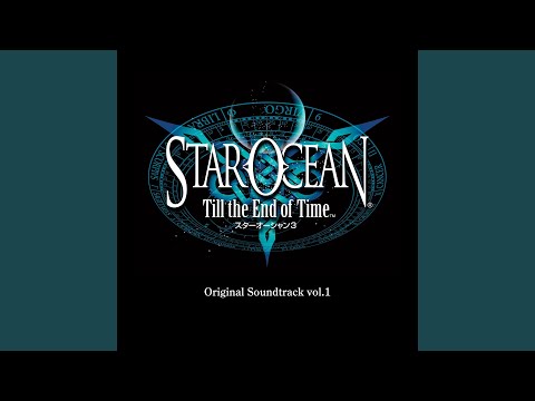 Chrysanthemum in Winter