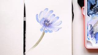 How to Paint This Transparent Blue Chicory Flower in Watercolor