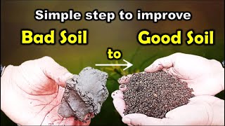 Improving clay soil into best potting mix and potting soil for gardening