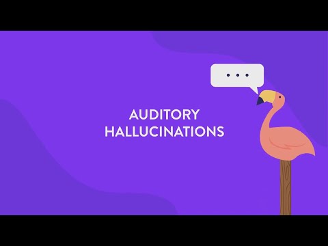 BMT - Schizo/patriotic koktel